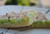 Key Lime Coconut Bars - One Dozen