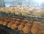 Organic Beautiful Hamburger Buns - 8 pk