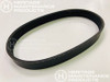 AD 56410217 Cylinder Brush Drive Belt for Nilfisk Advance (AD 56410217)