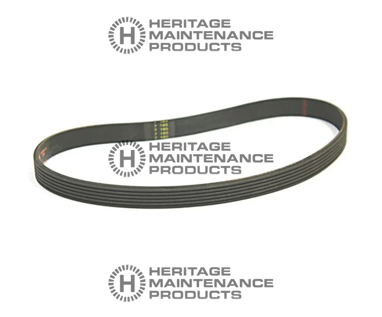 AD 56407466 Right Side V-Belt for Nilfisk Advance