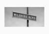 Wilshire Blvd (2017-b)