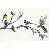 Painting by Jennifer Bain titled, Observers, Ink and acrylic on panel, 24" x 36", 2025. Pictured, Two birds siting on branch that reaches across whole canvas, the branch is wispy in texture and has flowers budding down its limbs.