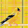 Wait Time by Jennifer Bain is a vibrant contemporary bird painting featuring a golden yellow bird against a geometric plaid background. Acrylic on wood panel, 8" x 8" (9.5" x 9.5" framed). Original artwork available for $1,200.