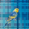 Look Back by Jennifer Bain features a vibrant blue budgerigar turning over its shoulder against a geometric plaid background. Acrylic on wood panel, 10" x 10" (11.5" x 11.5" framed). Original contemporary artwork available for $1,400.