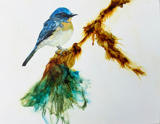 gravity Gravity by Jennifer Bain is a contemporary bird painting rendered in ink and acrylic on clayboard, depicting a perched bird within an expressive abstract botanical composition. Ink and acrylic on clayboard, 11 x 14 inches (12.5 x 15.5 inches framed). Original artwork available for $850.