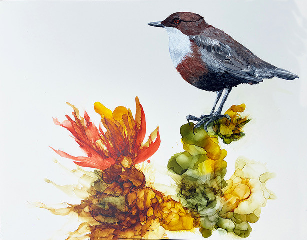 mesa bird Mesa Bird by Jennifer Bain is a contemporary bird painting rendered in ink and acrylic on clayboard, depicting a perched bird within a vivid abstract botanical environment. Ink and acrylic on clayboard, 11 x 14 inches (12.5 x 15.5 inches framed). Original artwork available for $850.