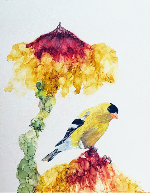 umbrella flower Umbrella by Jennifer Bain is a contemporary bird and botanical painting rendered in ink and acrylic on clayboard, featuring a perched bird among expressive umbrella-like floral forms. Ink and acrylic on clayboard, 14 x 11 inches (15.5 x 12.5 inches framed). Original artwork available for $850.