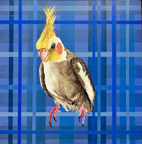 contemplation Contemplation by Jennifer Bain is a contemporary bird painting featuring a stylized avian portrait set against a geometric plaid background. Acrylic on wood panel, 10 x 10 inches (11.5 x 11.5 inches framed). Original artwork available for $1,400.