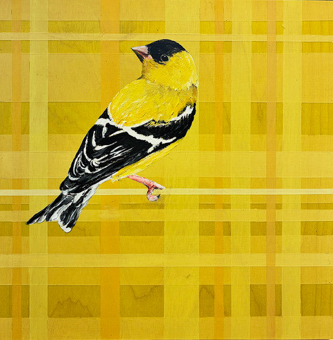 Keep Listening by Jennifer Bain presents a luminous yellow bird poised against a richly layered plaid backdrop of golden hues. The painting blends expressive texture with structured pattern, creating a vibrant contemporary composition that feels both lively and contemplative.