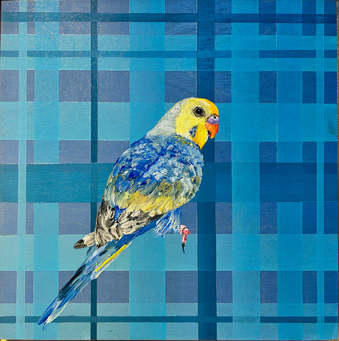 look back Look Back by Jennifer Bain is a contemporary bird painting featuring a stylized bird against a geometric plaid background. Acrylic on wood panel, 10 x 10 inches (11.5 x 11.5 inches framed). Original artwork available for $1,400.