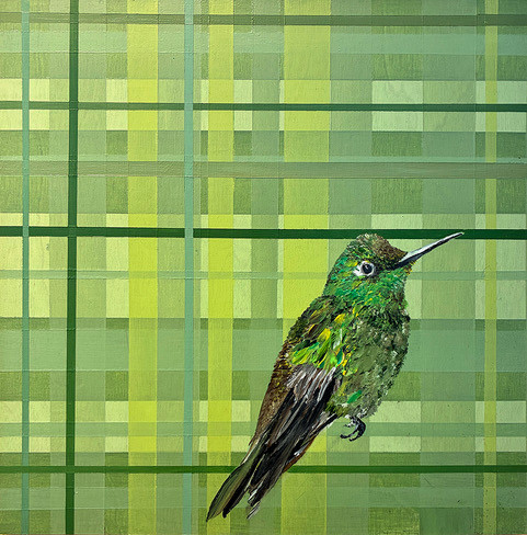 motivator Motivator by Jennifer Bain is a contemporary bird painting featuring a vivid green bird against a geometric plaid background. Acrylic on wood panel, 10 x 10 inches (11.5 x 11.5 inches framed). Original artwork available for $1,400.
