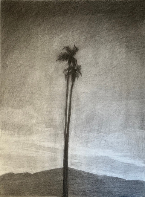 view Palm Drawing III