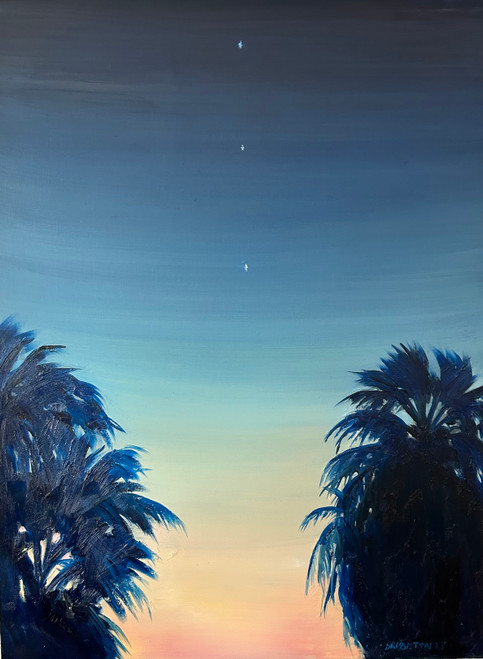 view Palms with Three Planets