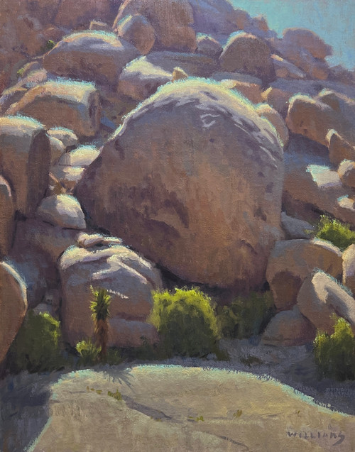 view Rattlesnake Canyon