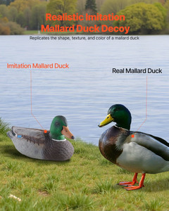 Duck Decoys, Realistic Floating Duck Decoys, Weight Forward Swim, Plastic Duck Hunting Decoy Outdoo E415-JTSLYESY6JT0EQYMH001V0
