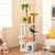 71 Inch Cat Tree Multi-Level Aesthetic Beach-Themed Kitten Tower-Colorful - Color: Multicolor D681-PV10288CL 71 Inch Cat Tree Multi-Level Aesthetic Beach-Themed Kitten Tower-Colorful - Color: Multicolor D681-PV10288CL