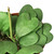 Hoya Sweetheart-4" Pot / Single D245-4_HOYA_HEART