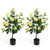 2-Pack Artificial Camellia Tree Faux Flower Plant in Cement-Filled Pot-Pink B593-HZ10497-2