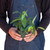 Pothos 'Cebu Blue'-6" Pot D245-6_POTHOS_CEBU.BLUE