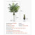 Artificial Areca Palm Tree 5 ft, Fake Palm Tropical Plants with White Tall Planter, Faux Floor Silk E415-RZRDZWSWK5FTDOZIW001V0