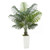 Artificial Areca Palm Tree 5 ft, Fake Palm Tropical Plants with White Tall Planter, Faux Floor Silk E415-RZRDZWSWK5FTDOZIW001V0