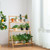 3-Tier Bamboo Foldable Plant Stand with Display Shelf Rack-Natural - Color: Natural D681-HZ10037NA
