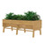 Outdoor Modern Natural Cedar Wood Raised Garden Bed Planter 70-inch x 31-inch Q280-MLWRGBN14583917