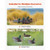 Duck Decoys, Realistic Floating Duck Decoys, Weight Forward Swim, Plastic Duck Hunting Decoy Outdoo E415-JTSLYESY6JT0EQYMH001V0