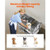 34" Dog Washing Station, Stainless Steel Pet Grooming Tub Bathtub, Professional Dog Wash Sink with  E415-BXGCWYG34CZJFJ0C0002V0