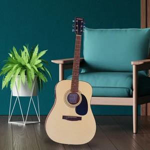 Berkeley Dreadhot OP with EQ Guitar
