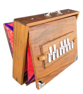 MM Basic Surpeti Shruti Box
