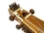 Sarangi with Bow/Case (SAR001)