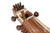 Deluxe Sarangi (SAR002)