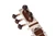 Child's Sitar (SIT042)