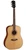 Parkwood S61 Guitar with Bag
