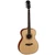 Parkwood P630 Guitar with Case