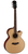 Parkwood P670 Grand Concert Cutaway Acoustic Electric Guitar w/Case