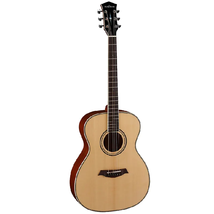 Parkwood P630 Guitar with Case