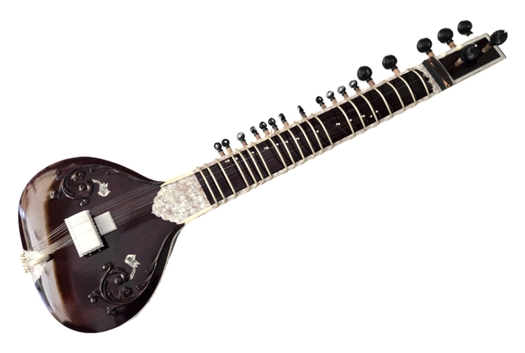 Ajay Rikhi Ram Vilayat Khan Style Sitar