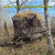 THUNDERBAY SPUR Collector 2 Person Hunting Blind