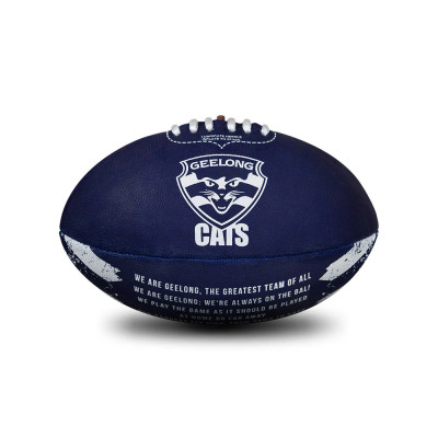 Geelong Cats Synthetic Size 2 Team Song Football