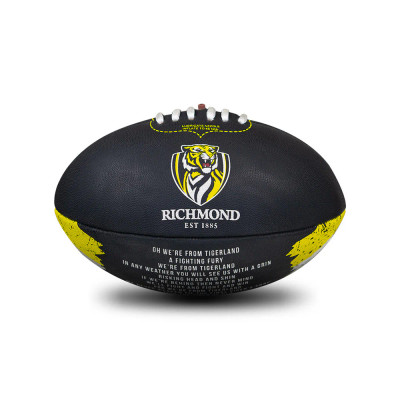 Richmond Synthetic Size 2 Team Song Football