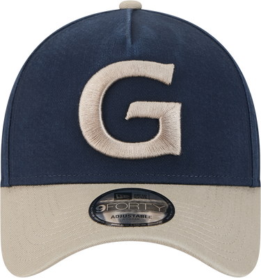 Geelong Cats New Era 9FORTY A-Frame Two-Tone Pebble Cap
