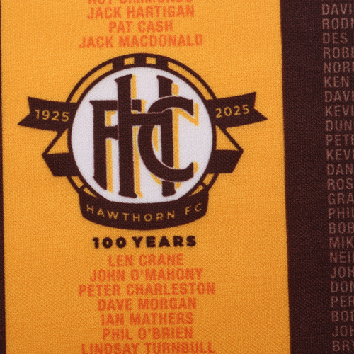 Hawthorn 2025 ISC Mens Centenary Guernsey