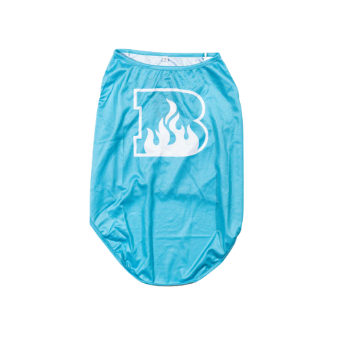 Brisbane Heat Dog Jersey