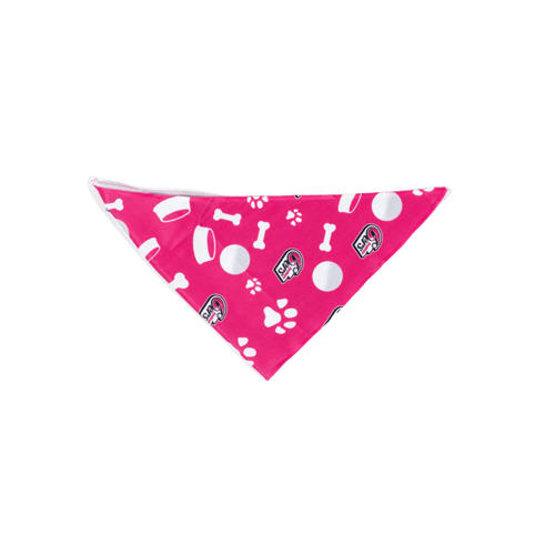 Sydney Sixers Dog Bandana