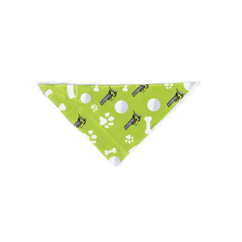 Sydney Thunder Dog Bandana