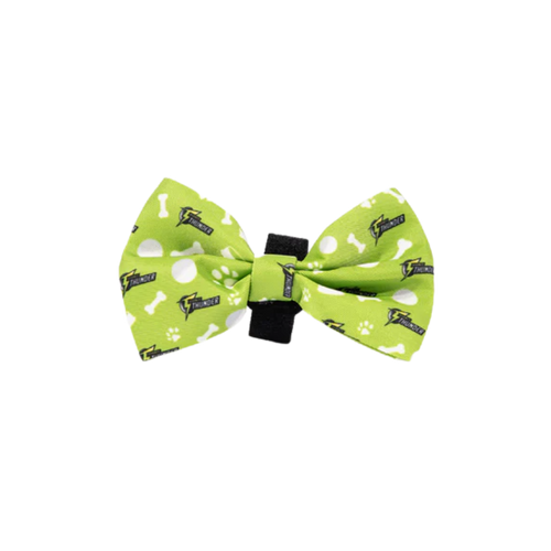 Sydney Thunder Dog Bowtie