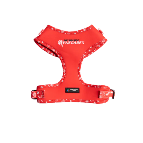 Melbourne Renegades Dog Harness