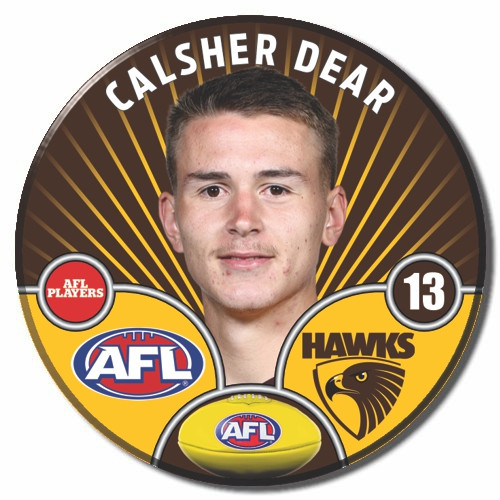 Hawthorn Hawks 2026 AFL Player Badge